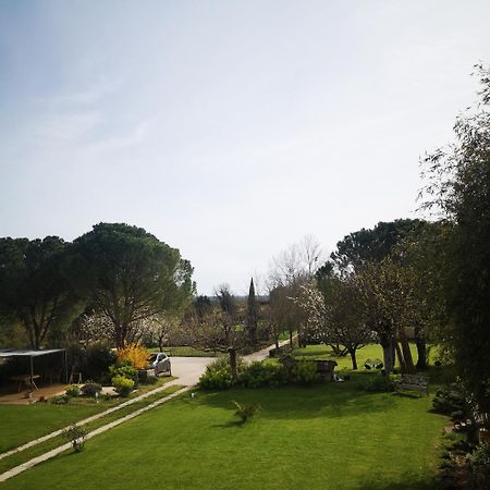 La Burie Bed & Breakfast Saint-Savinien Bagian luar foto