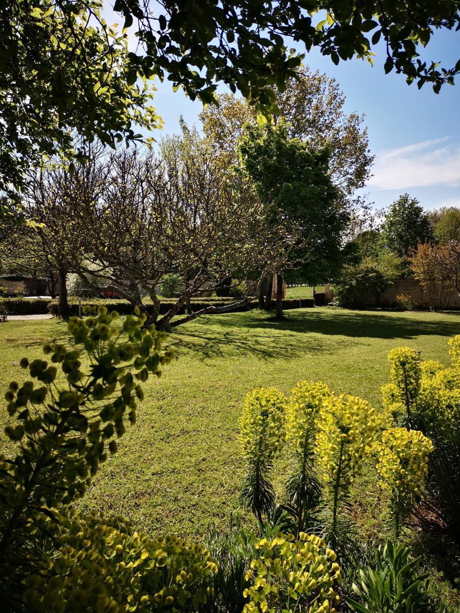 La Burie Bed & Breakfast Saint-Savinien Bagian luar foto